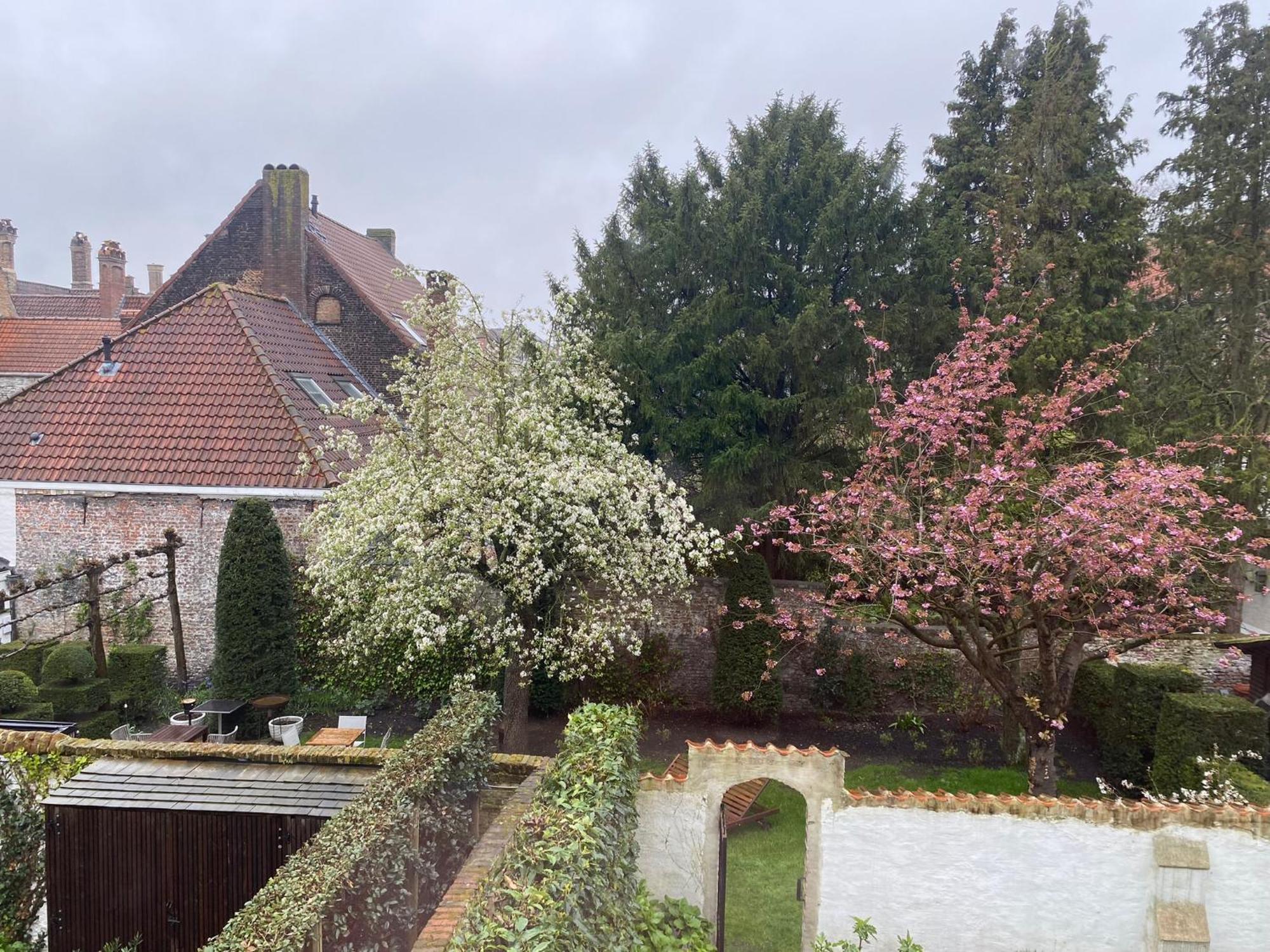 Residence9บรูจส์ ภายนอก รูปภาพ